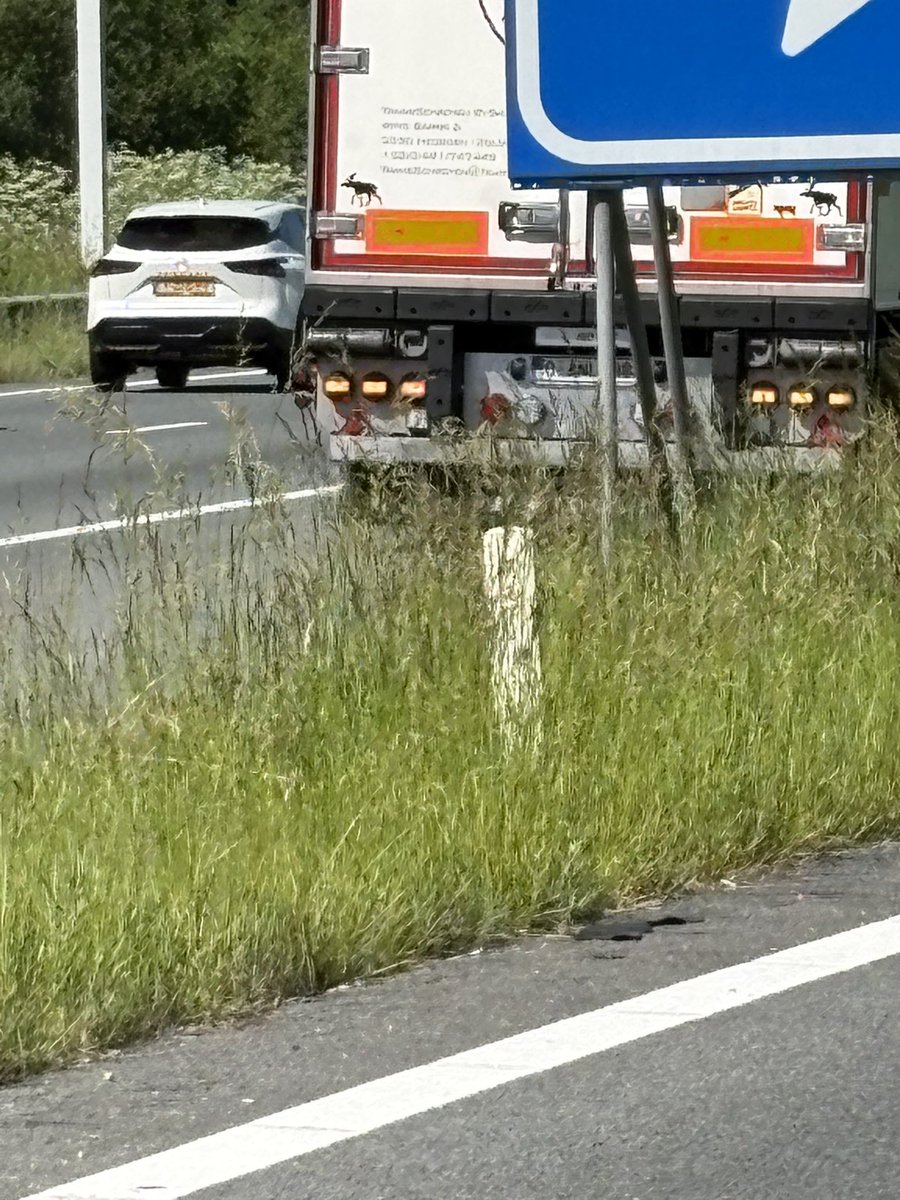 Kop-staart ongeval op A58 bij Etten-Leur