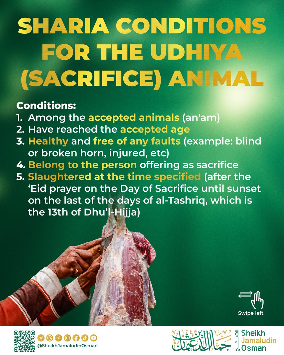 JamaludinSheikh's tweet photo. Sharia conditions for the Udhiya(sacrifice) animal https://t.co/SqXUeB2qRc