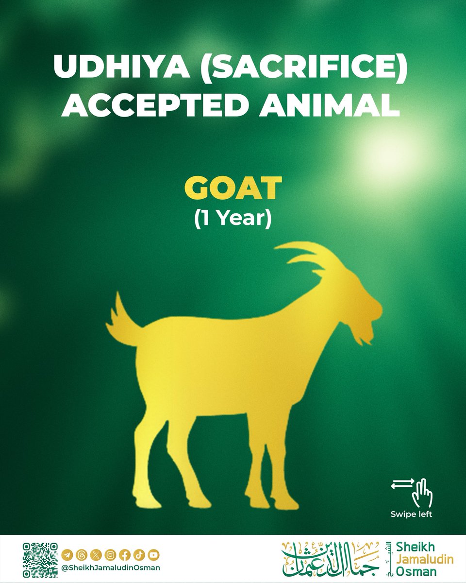 JamaludinSheikh's tweet photo. Sharia conditions for the Udhiya(sacrifice) animal https://t.co/SqXUeB2qRc