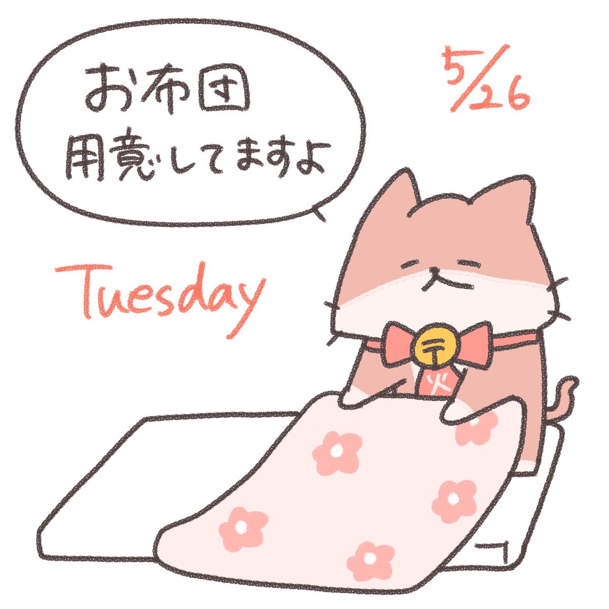 曜日にゃんこーず tweet media