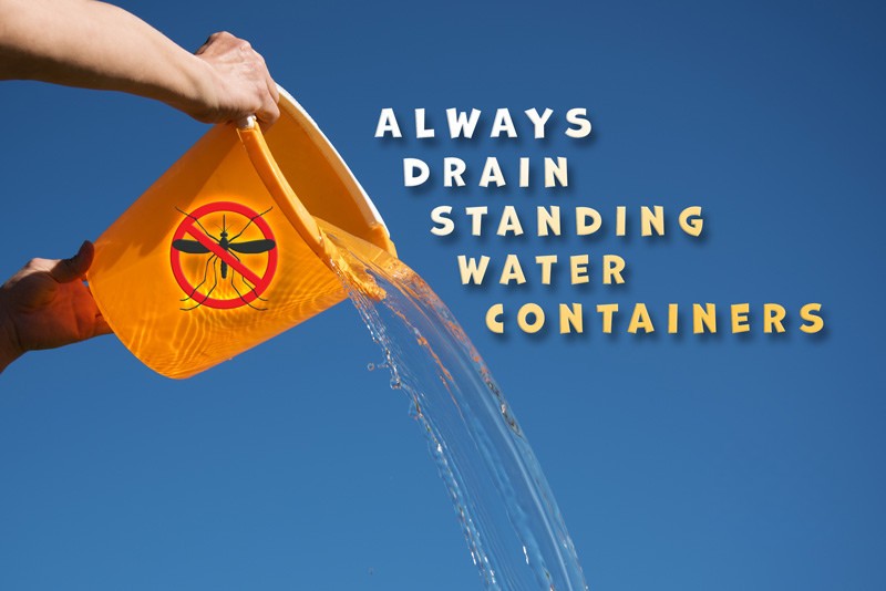 FLHealthPolk's tweet photo. Mosquito season has begun. Remove standing water around your home weekly and keep screens in good repair. https://t.co/PbuhWnOst6 https://t.co/EApvQbcEsn