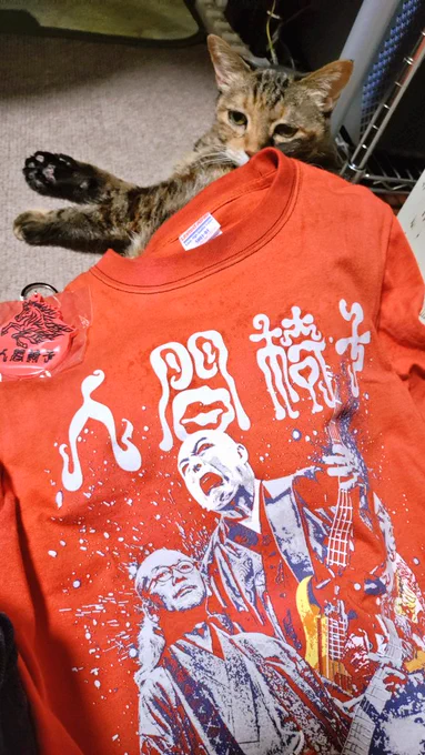 お家に帰るまでがライブです!ツアー各地でお会いできた方々ありがとうございました!! うまい棒100個作ったんですがほぼ無くなりました!凄い!! また秋のツアー楽しみ頑張るぞ～!!