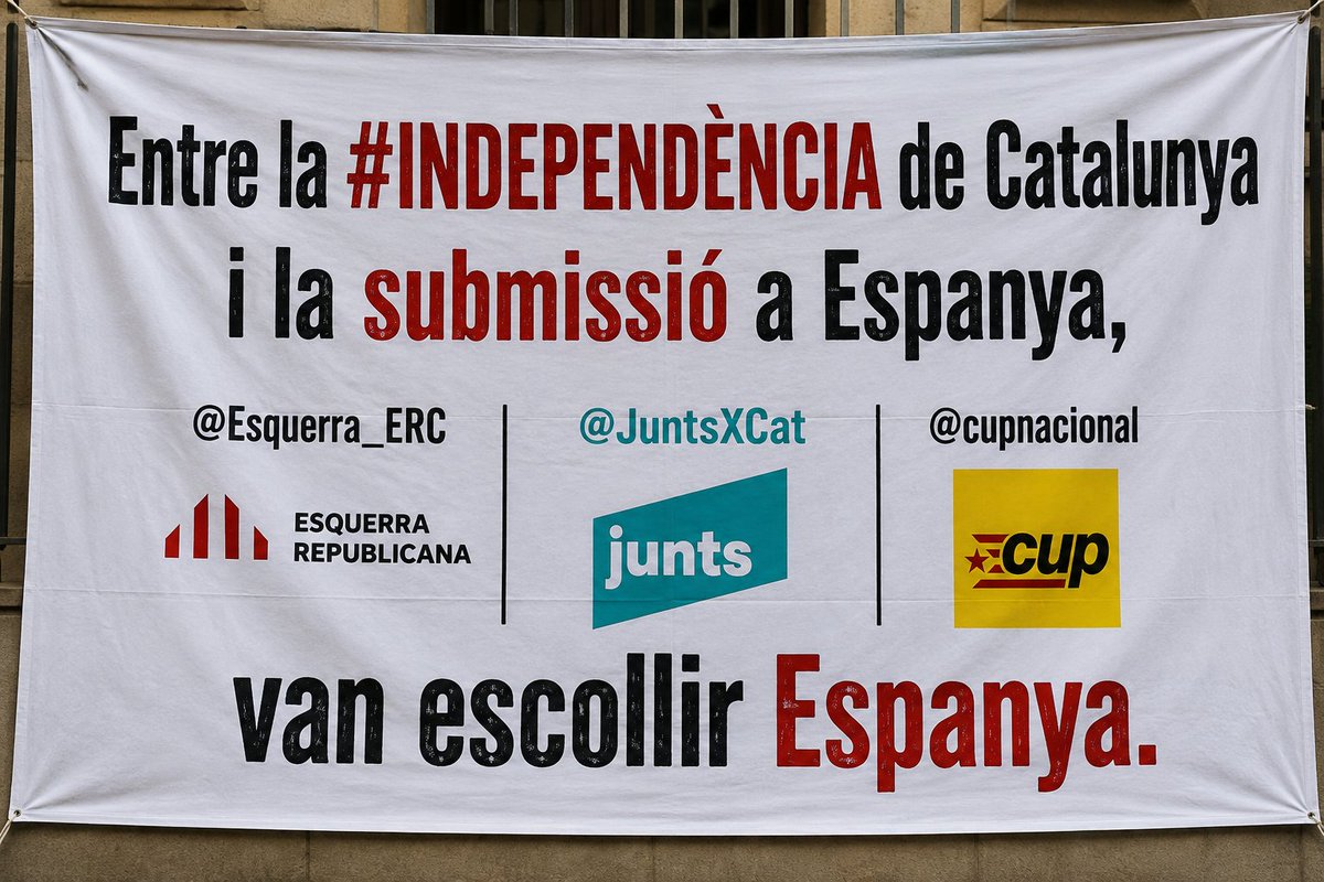 Jo República Cat II*II tweet media