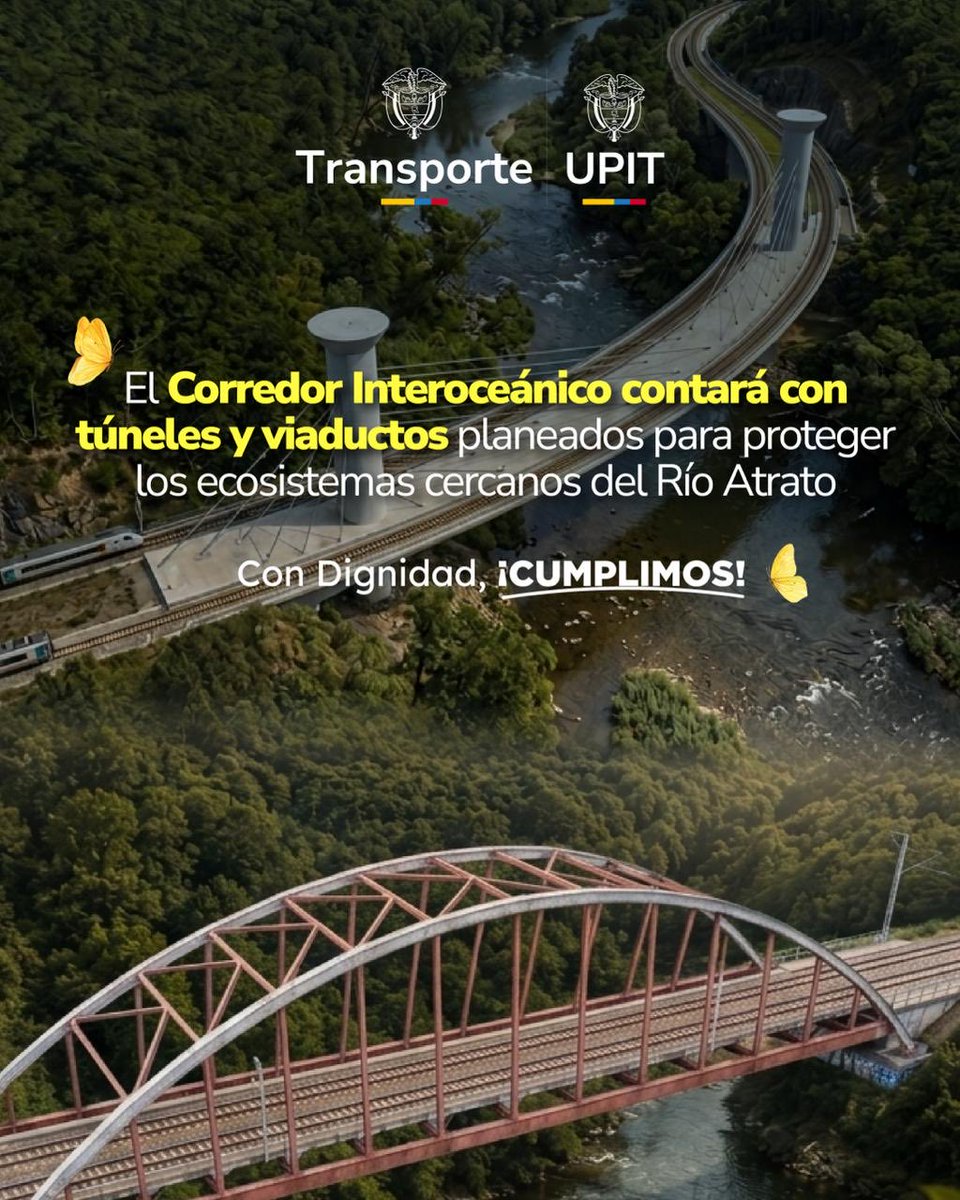 UPIT_Col's tweet photo. 🦜La prefactibilidad del Corredor Interoceánico incluye 27,9 km de túneles, 72,9 km en terreno y 121,5 km de viaductos para proteger las zonas de inundación del #RíoAtrato. Estudios con solidez para el Chocó @maferojas @petrogustavo @MinTransporteCo #ConDignidadCumplimos https://t.co/UUifwFcJPX