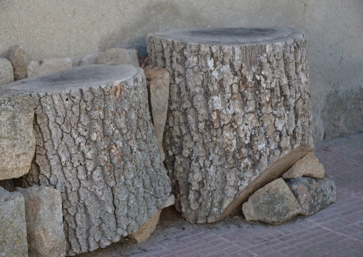 TurismoSardon's tweet photo. Aquí en Sardón el diseño de exteriores lo firma la naturaleza… y a veces improvisa bastante bien 😄🌿

Dos troncos, colocados sin prisa ni planos previos, han decidido convertirse en el “sofá rural” oficial del momento 🪵🪵

#Sardón #TurismoRural #Naturaleza #VidaSimple https://t.co/LRGH8QHRKn