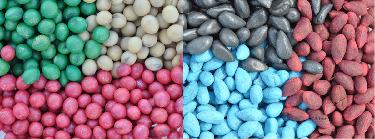 CropNetwork's tweet photo. In general, chemical nematicides move more readily in coarse-textured soils than fine-textured soils, assuming adequate water infiltration. 

As a result, chemical nematicides often have a larger zone of root protection in coarse-textured soils than in fine-textured soils such as silts and clays.

Moreover, the zone of protection is more vertical like a “chimney” to protect the developing taproot rather than horizontal to protect lateral roots. 

Therefore, seed-applied nematicides typically work better in strongly tap-rooted crops such as cotton and soybean compared to fibrous root systems like corn.

Read more in "How Seed-Applied Nematicides Work" at https://t.co/Wix4v46A5E. 

From @travisfaske @MartinChilvers1 @badgercropdoc @CFAES_OSU & @CUESNews. Funded by @CottonInc. 

@UFcropnematodes @UFEntNem @UCDavisEntomolo @NematodeGuy #cotton #soybean #nematodes