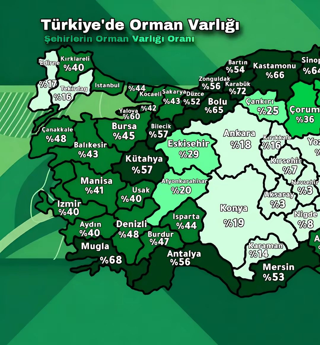 bayrakmedya's tweet photo. Türkiye'de orman varlığı: https://t.co/LGm1aVAWuw