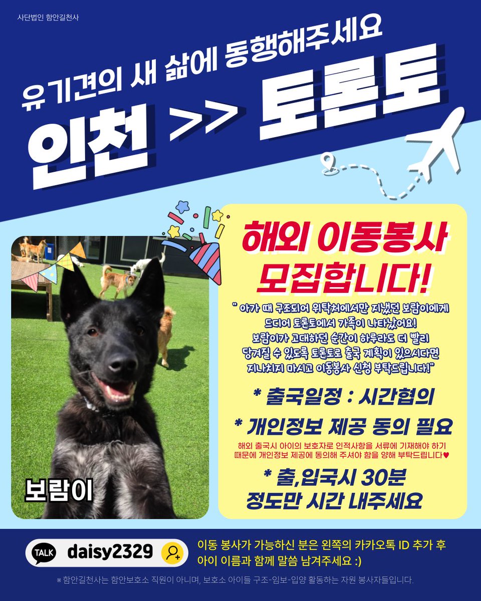 Susu_mom_'s tweet photo. 제가 대모하는 강아지 에너자이저 보람이 토론토에 가족이 생겼어요🩷🩷
토론토로 해외 이동봉사해주실분 모집합니다! https://t.co/HitfariRyc