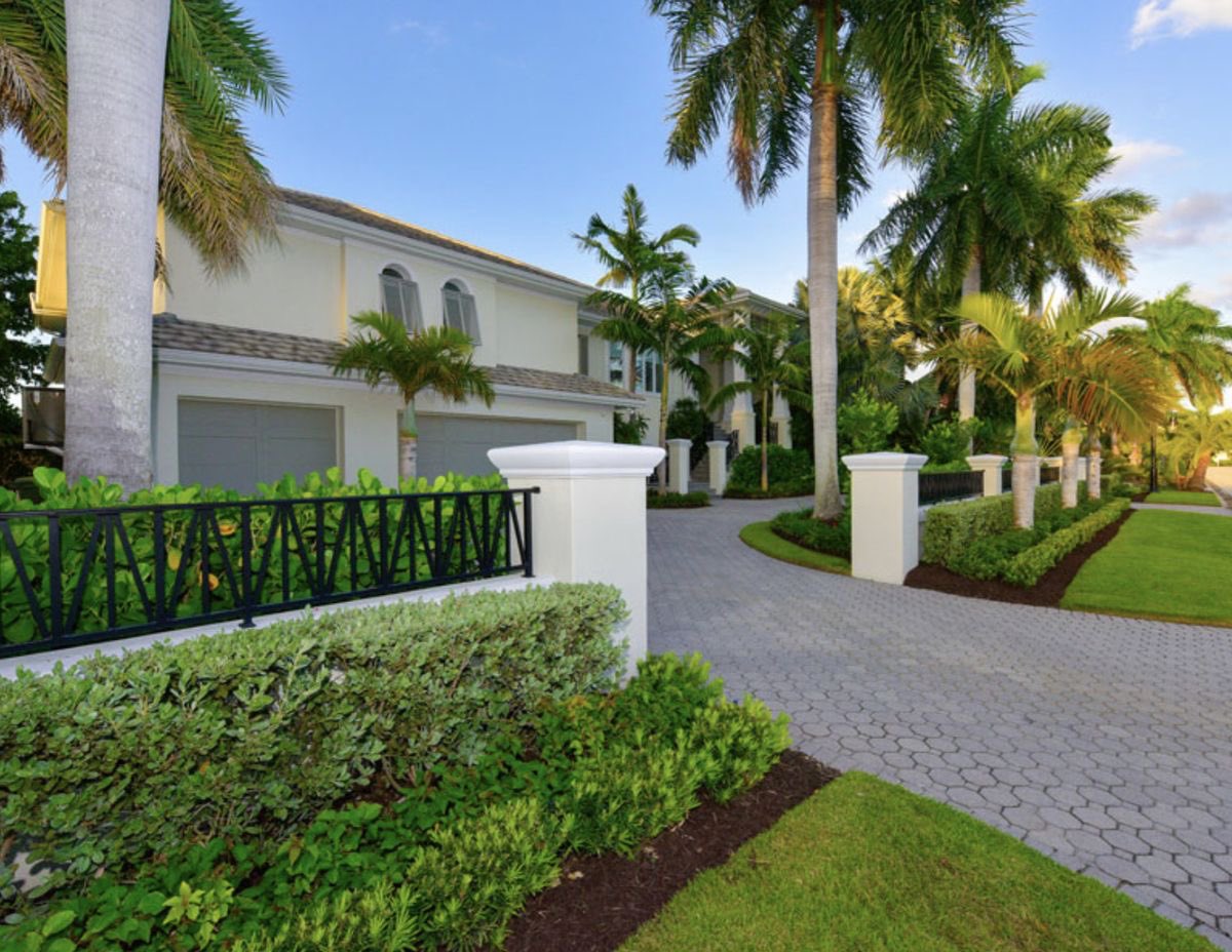 Botanique Designers tweet media