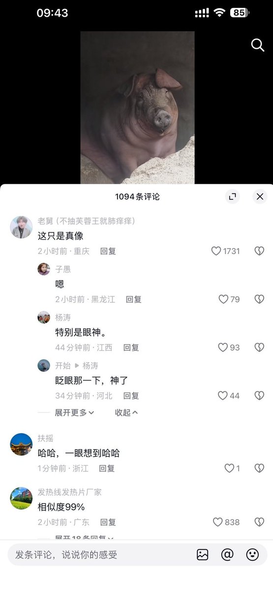 bbcall1998's tweet photo. @franklee750422 女神經病

 丫嘛算是

 女神の一支 https://t.co/1eouF4Ybfy