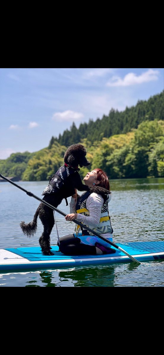 quakysense's tweet photo. ドッグライフジャケットの
ことならhttps://t.co/8ZhyzElmeC
#ドッグベスト #ドッグラン
#愛犬 #わんこ #ドッグ #love https://t.co/KeWrTp0Cie