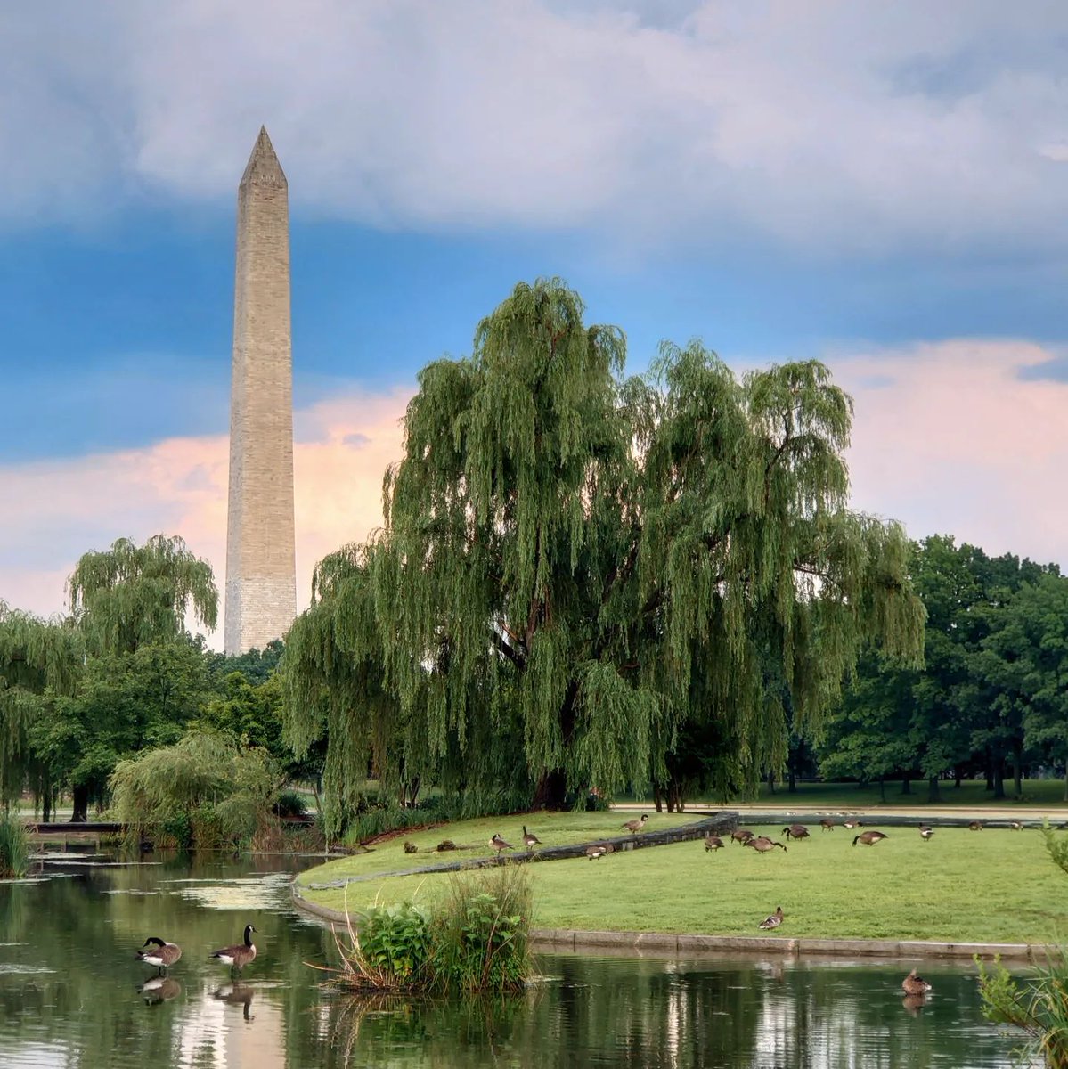 washingtondc's tweet photo. Escape the city without leaving it. 🌿

📸 : vye_photos, sohozonk / IG #Only1DC #SpringinDC https://t.co/75t6cbtUkW
