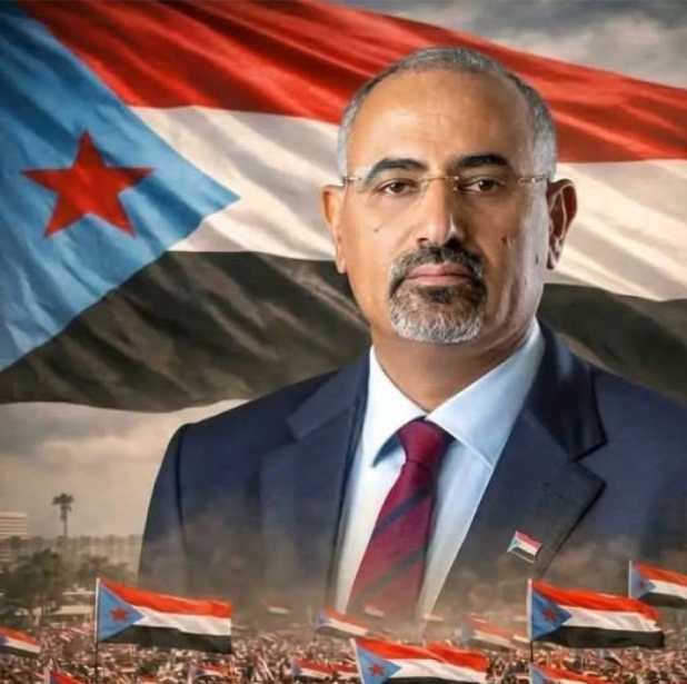 مها البحيري tweet media