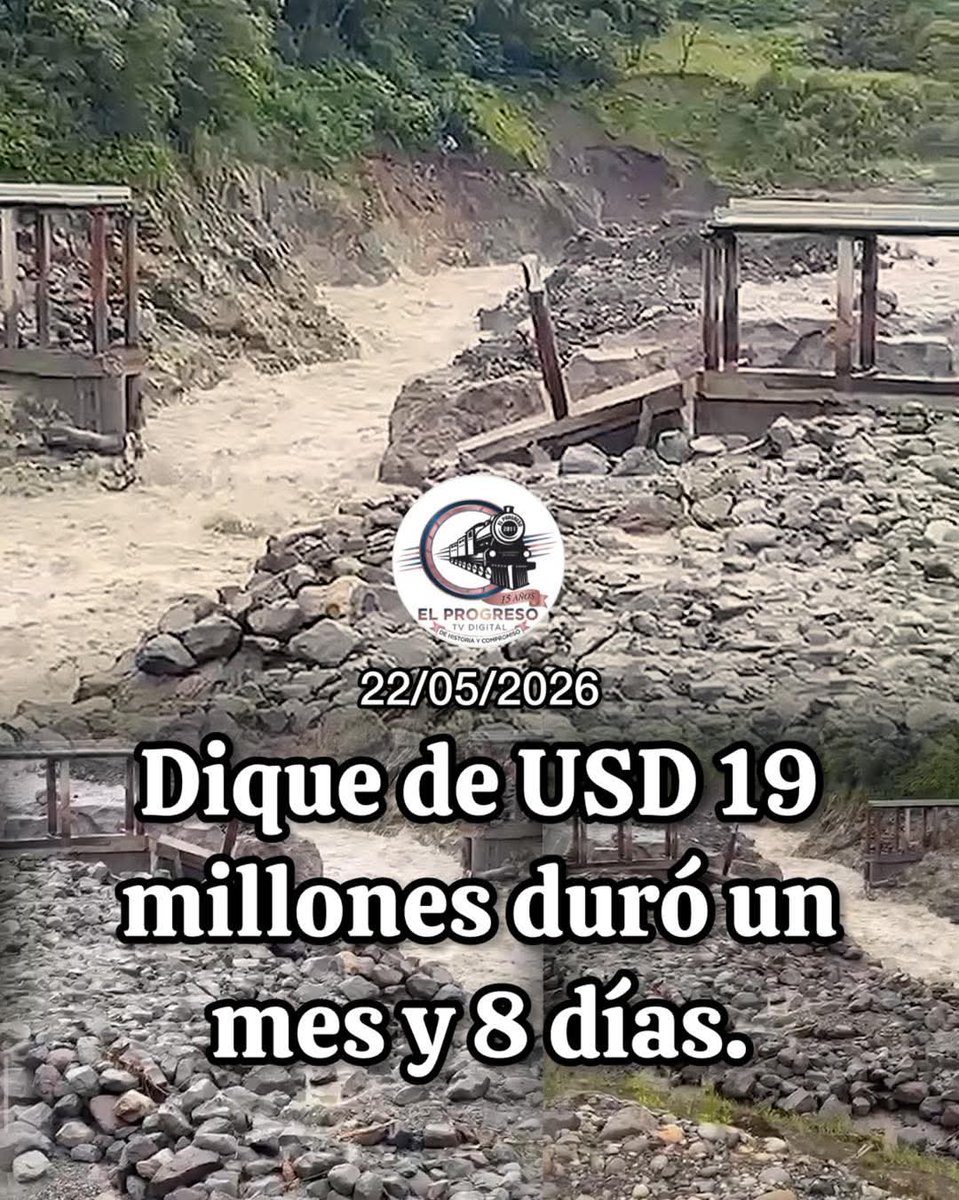 El busetero tweet media