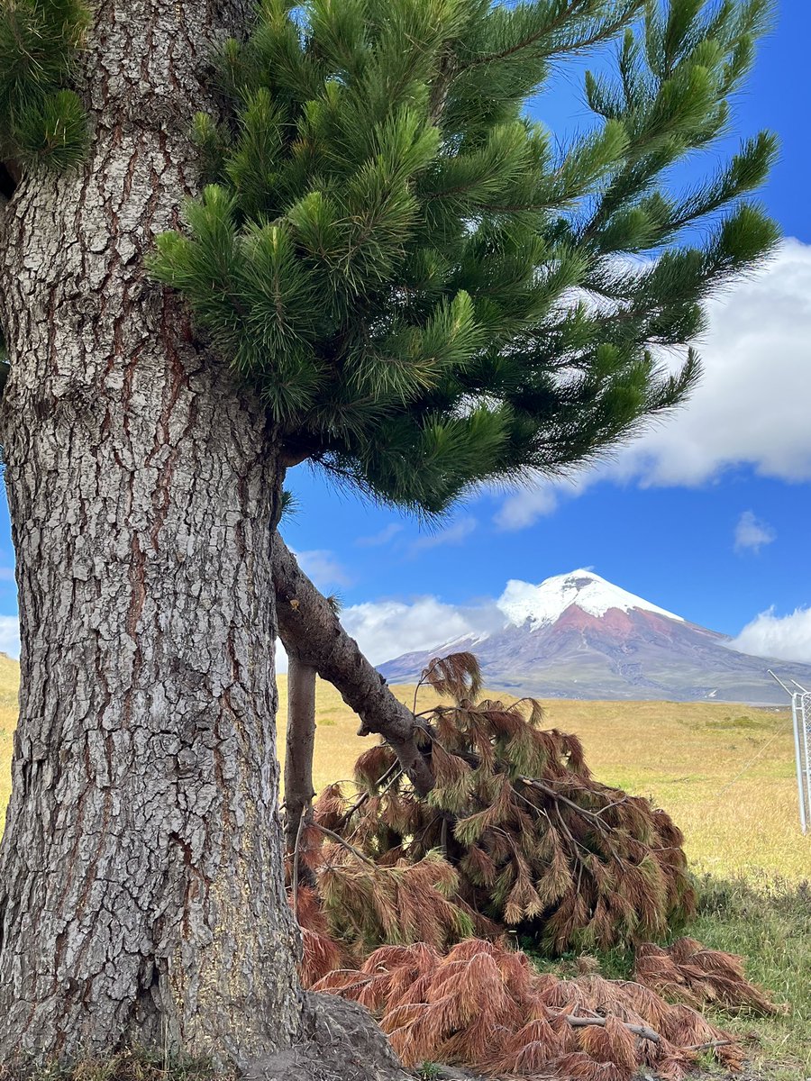 Ferci4's tweet photo. Entre ríos y montañas 👩‍❤️‍👨🌅🌋 https://t.co/qnwQymo7FL