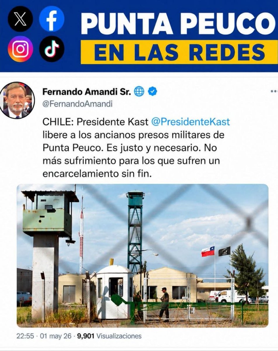 monica quevedo tweet media