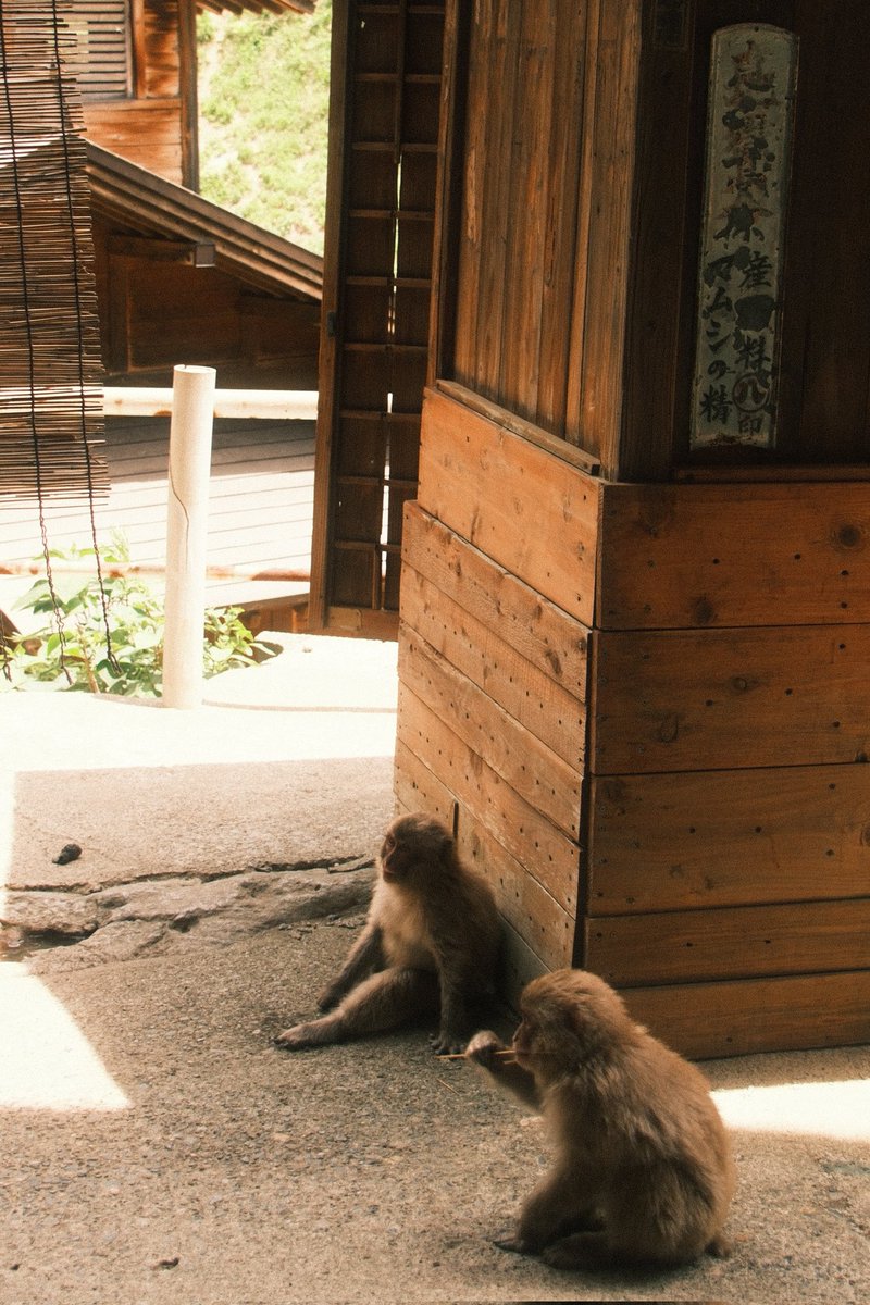 chichinose's tweet photo. 月曜日休みを取って二泊三日で新潟県南部、長野県北部を旅行しました https://t.co/JS4SUnuICq