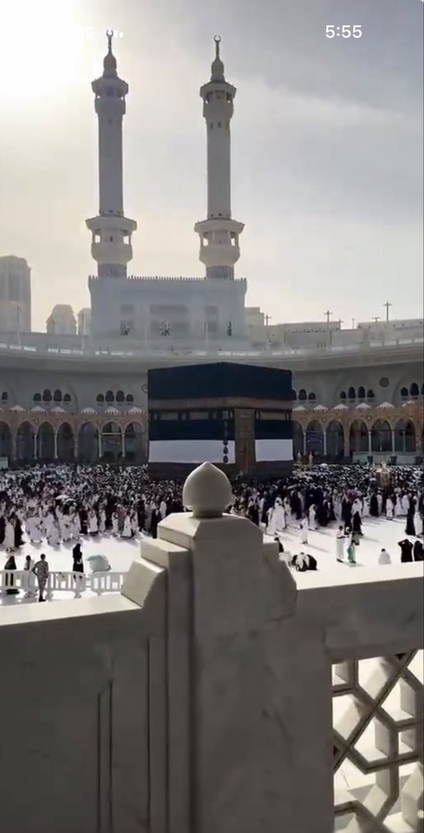 سالم بن متعرض tweet media