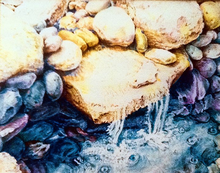shininglightga1's tweet photo. Art of the Day! "Pond with waterfall, watercolor". Buy at: https://t.co/1foivssAsH https://t.co/TaWQxtRNda