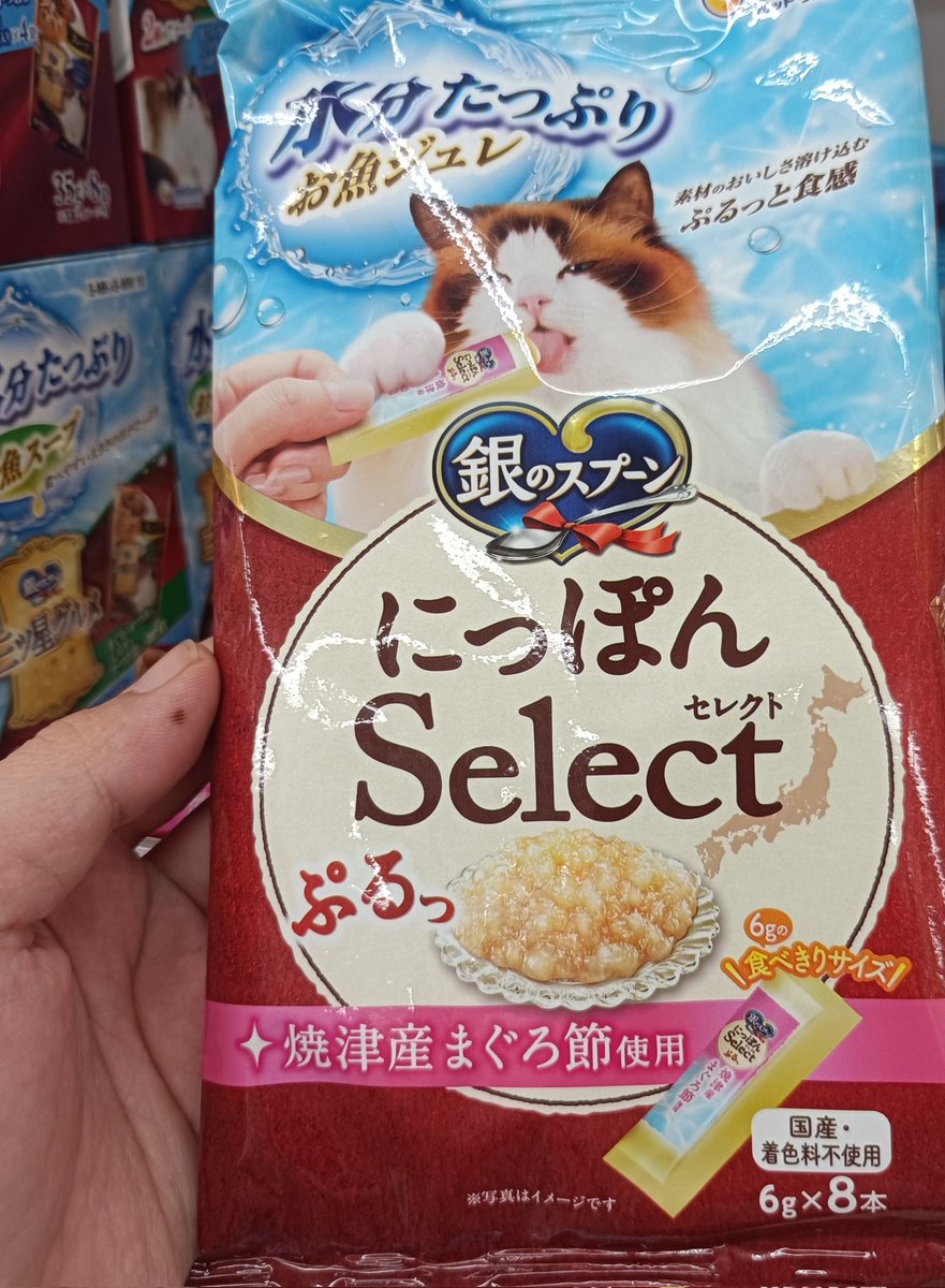 センちゃん tweet media