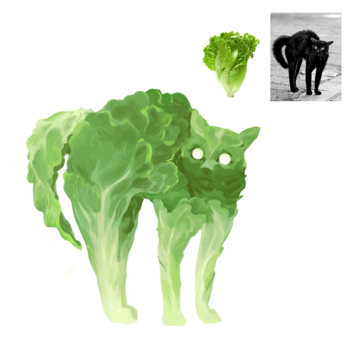 arryacc's tweet photo. Lettuce Cat https://t.co/ZJRfxszoOA