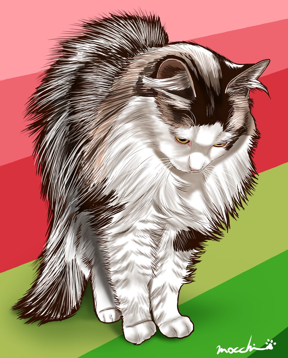 もっち（mocchi） (@mocchimocchi09) / Posts / X