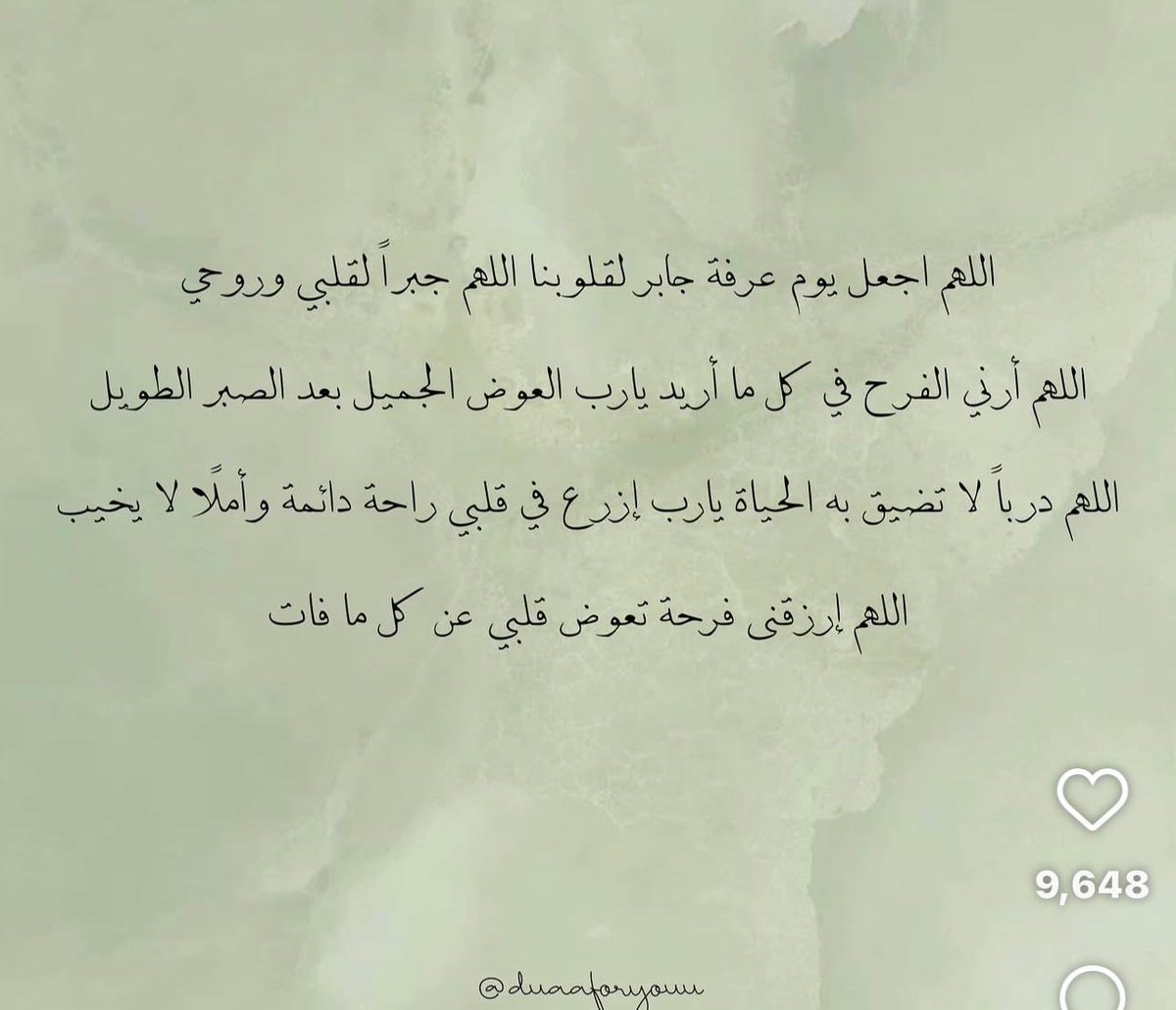م. شهد صلاح تيفوني ♓️ tweet media