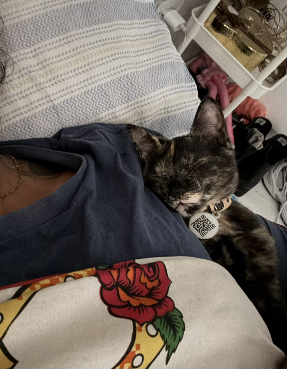 m_rezio's tweet photo. ser mãe de pet melhor experiência da vida mesmo https://t.co/9ggsUzFkys