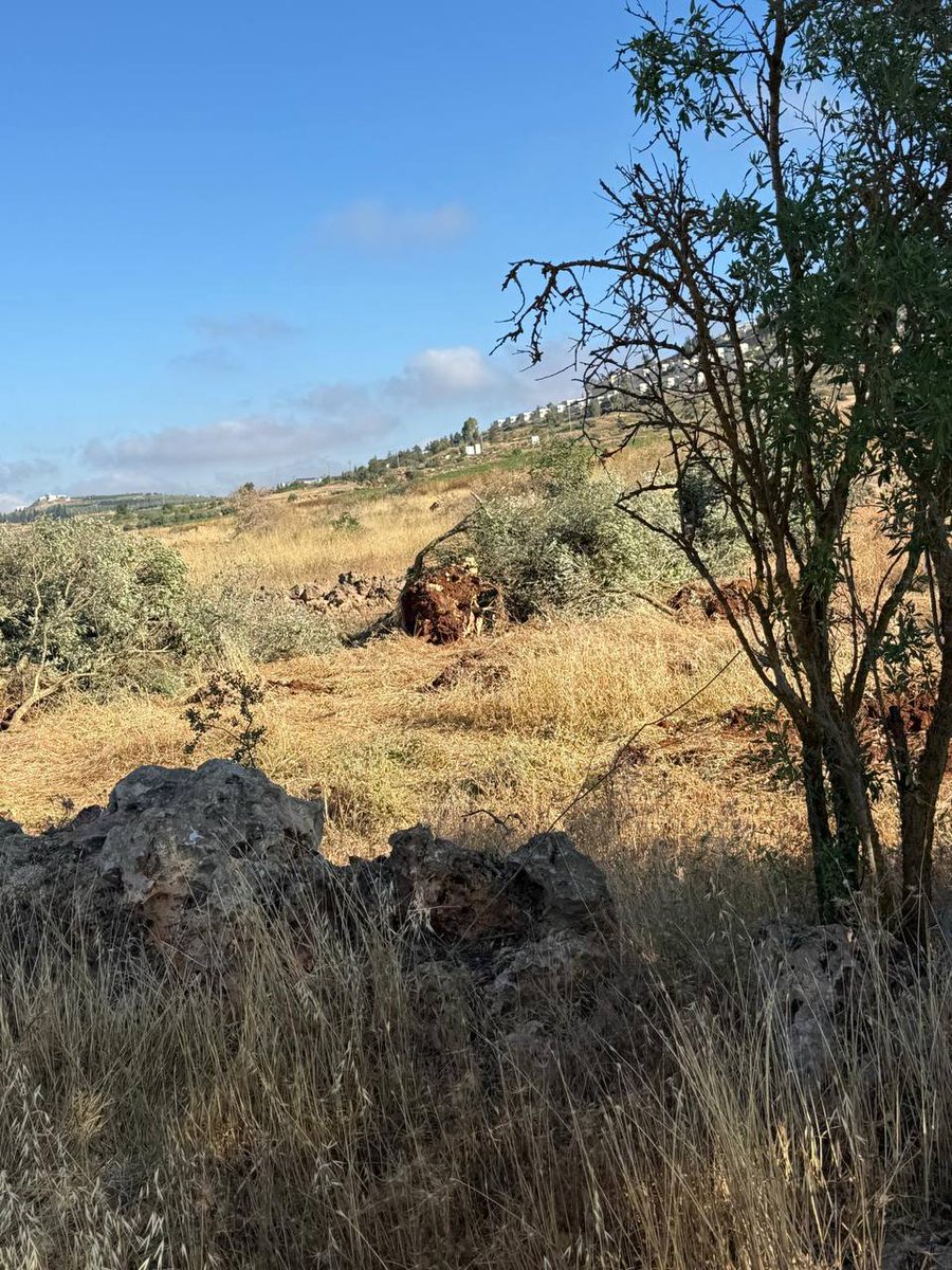 West Bank Notifications tweet media