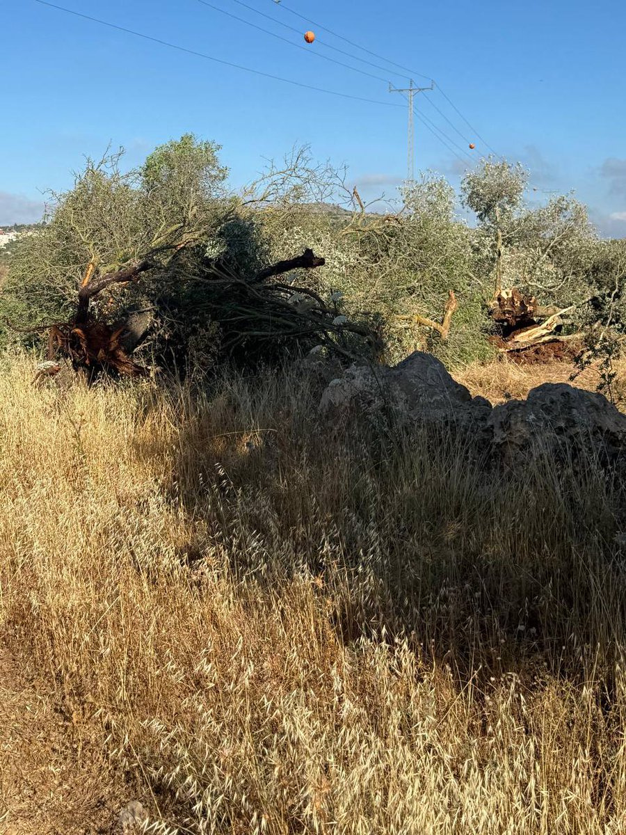 West Bank Notifications tweet media