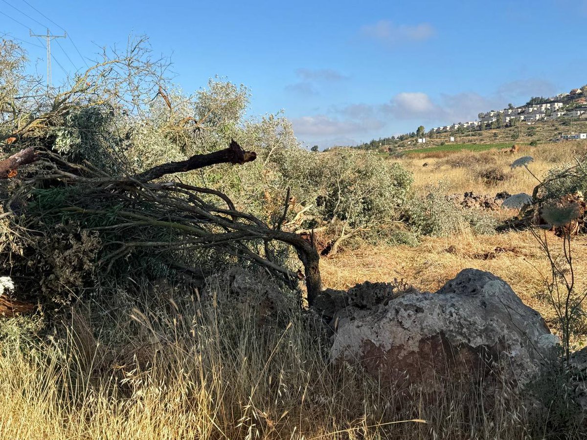West Bank Notifications tweet media