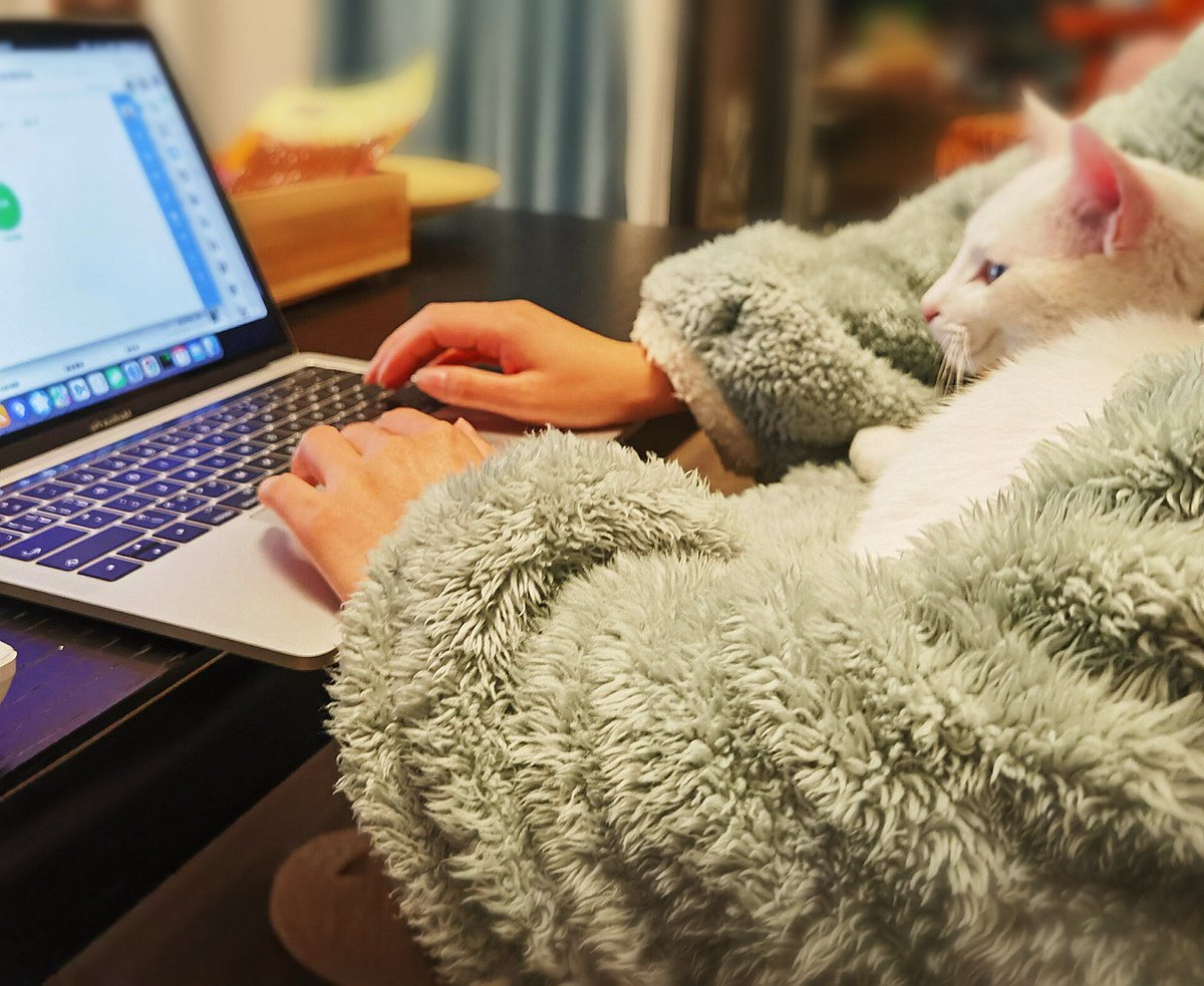 MikaNiuton's tweet photo. When the deadline’s still 3 days away but your brain’s already on vacation  Just let me scroll one more cat video, okay https://t.co/QCvdF7u0l4