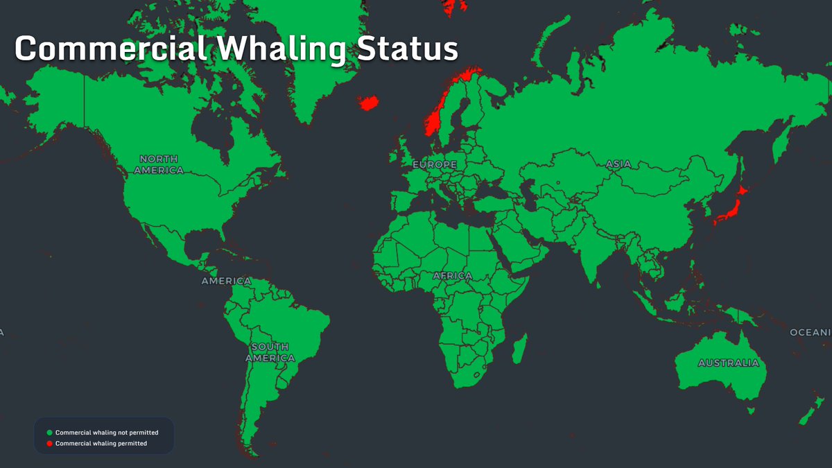 Mapthos's tweet photo. @earthcurated Three countries on a map are a reminder that even obvious environmental protection is not completely global. https://t.co/V5NB1HGZFS