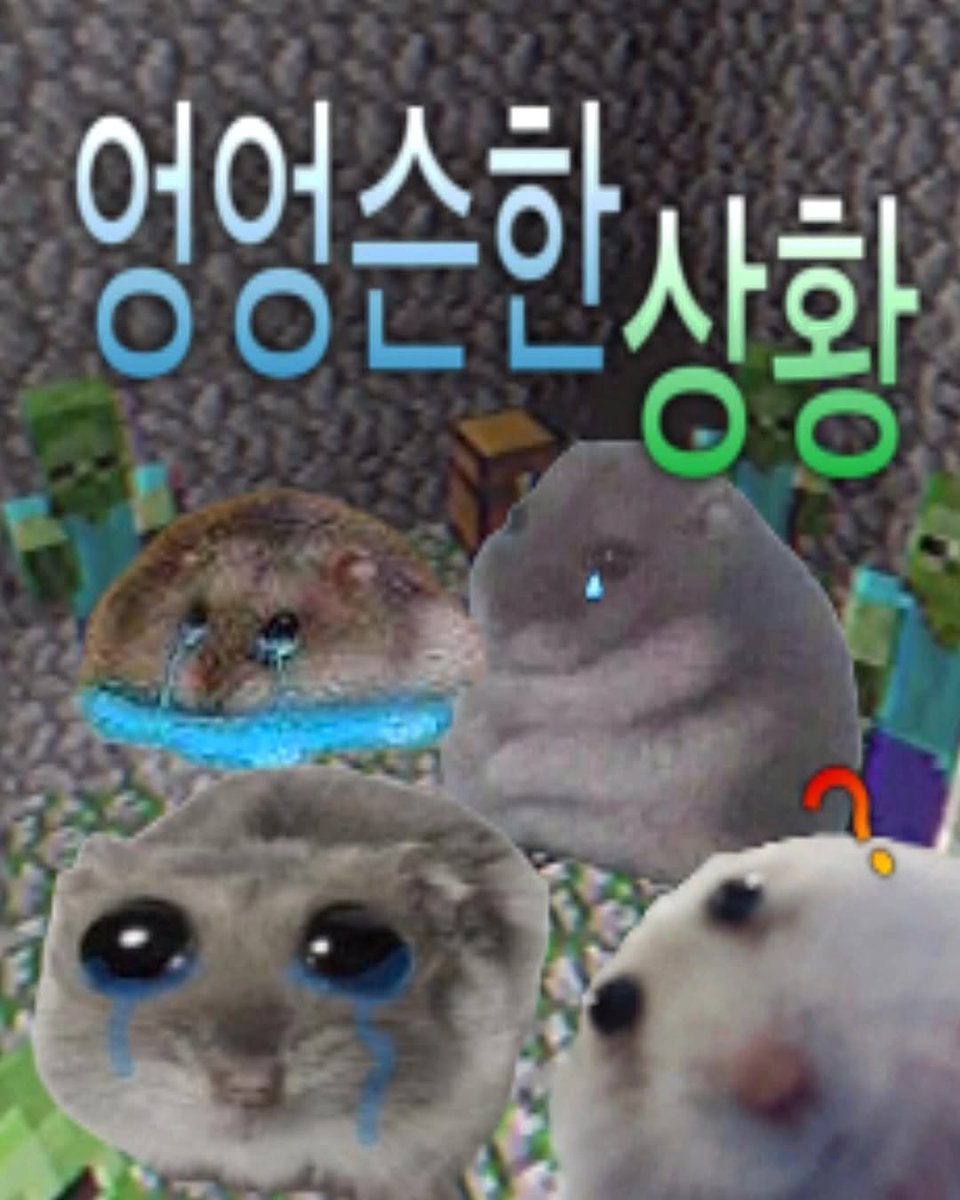 멍찬이 tweet media