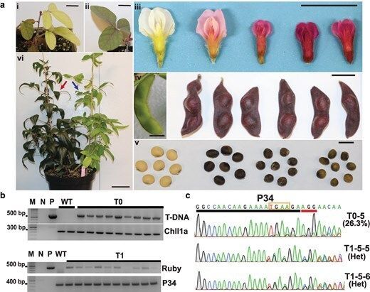 Plant Science tweet media