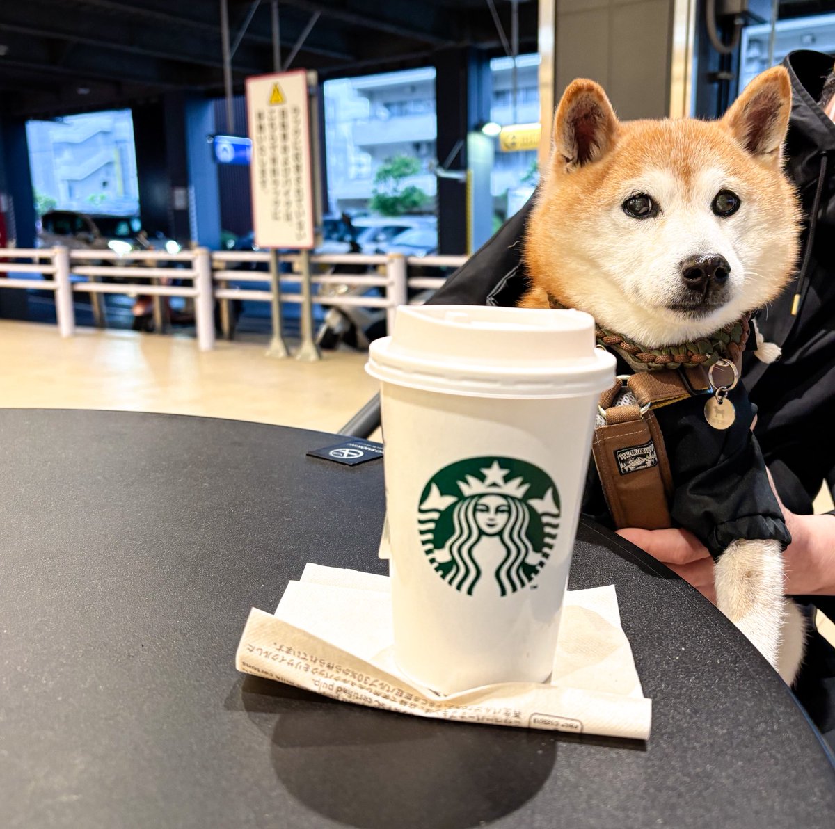 bouzu_h's tweet photo. カフェ活☕️ https://t.co/ped7GJytKI
