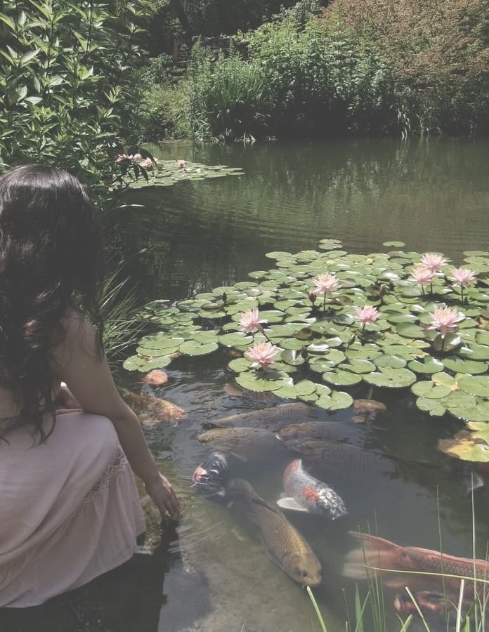 @librabluemoon | intuitive tarot reader 🌟 tweet media