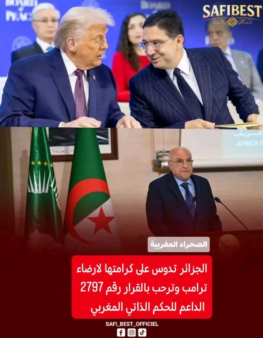 🇲🇦 mhamed zahraoui 🇲🇦 tweet media