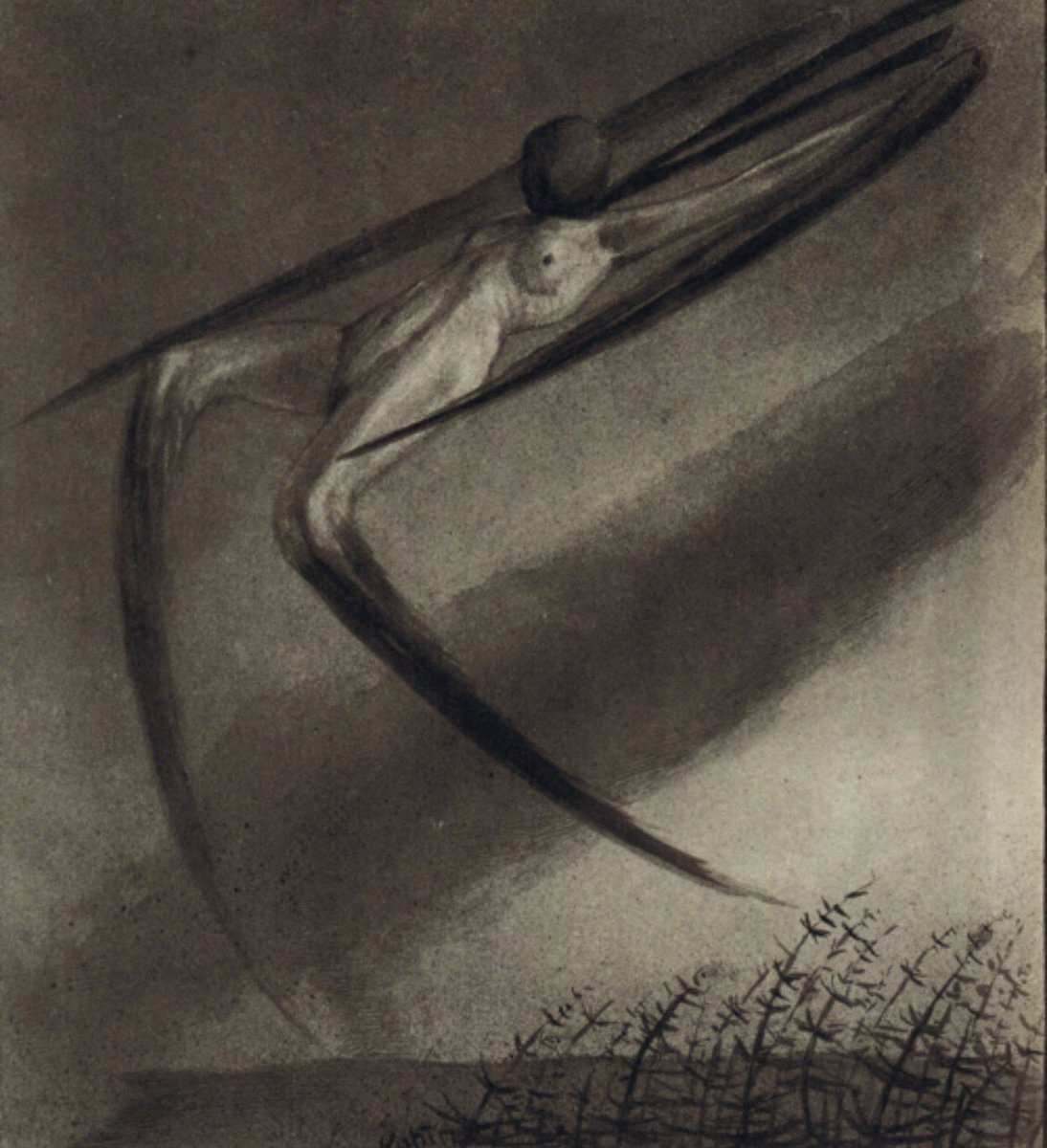 PmAmTraveller tweet media