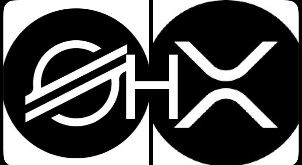 DanielThaLion tweet media