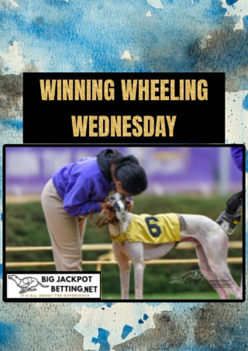 RandyLBirch's tweet photo. Racing Greyhounds know who really loves each of them on "Winning Wheeling Wednesday", with a $5,288.00 Pick 5 Jackpot carryover, on the Free "Live Show" link at https://t.co/c1sK8aASyU, Noon Central, 1 Eastern. https://t.co/Kc9B4j8yFJ