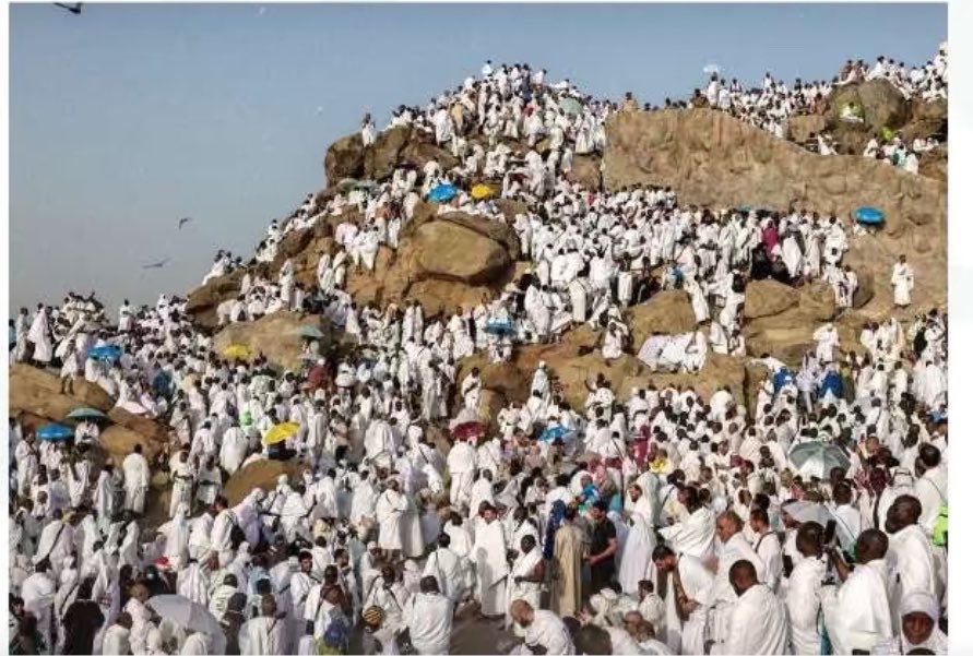 ﮼متعب ﮼الشمري ﮼ tweet media