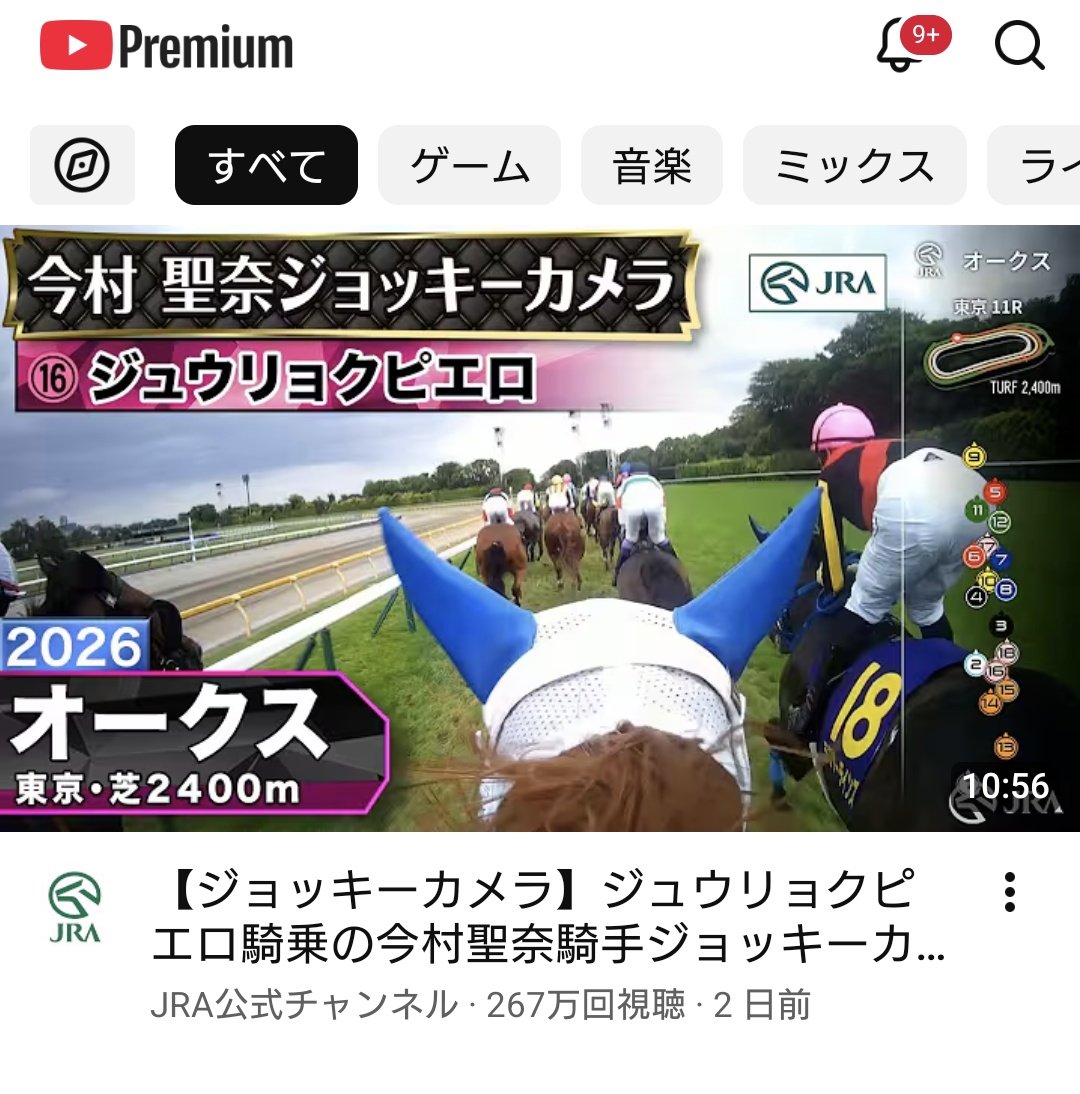 可能性の獣のコブスキー tweet media
