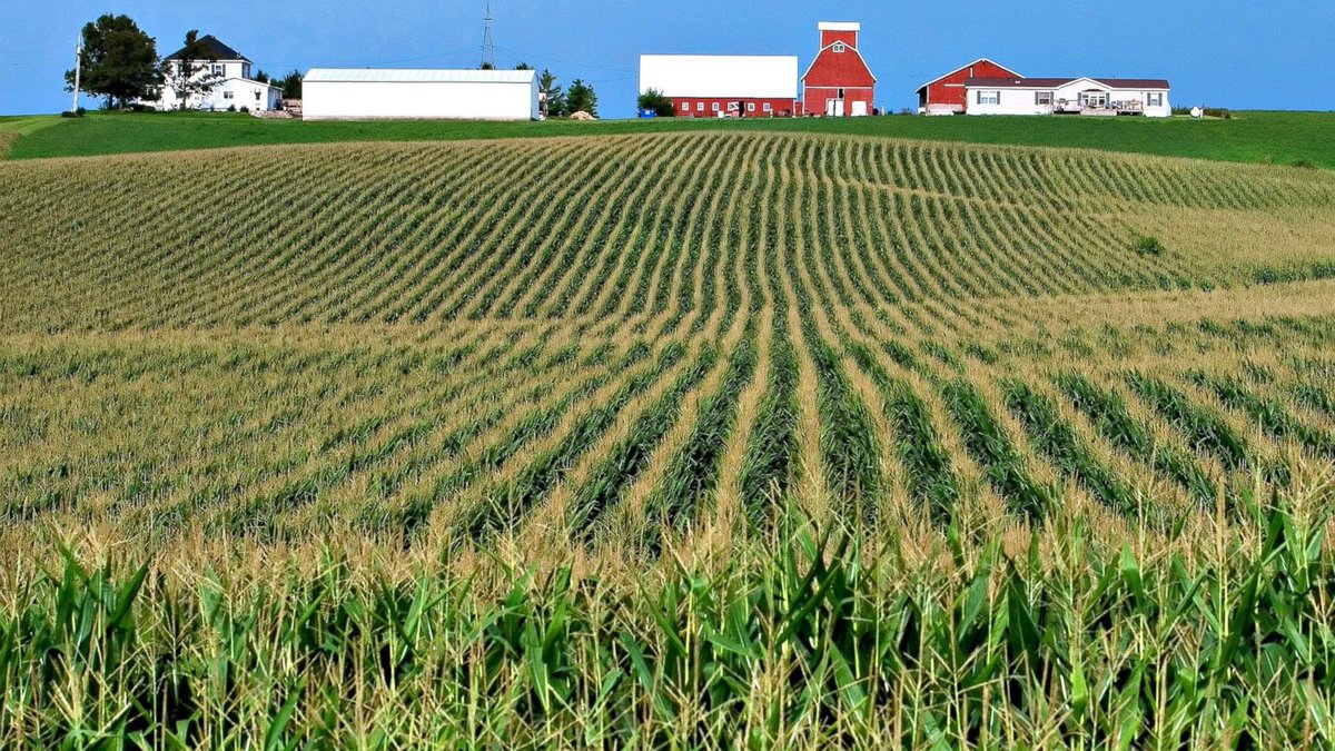 Iowa Chill tweet media