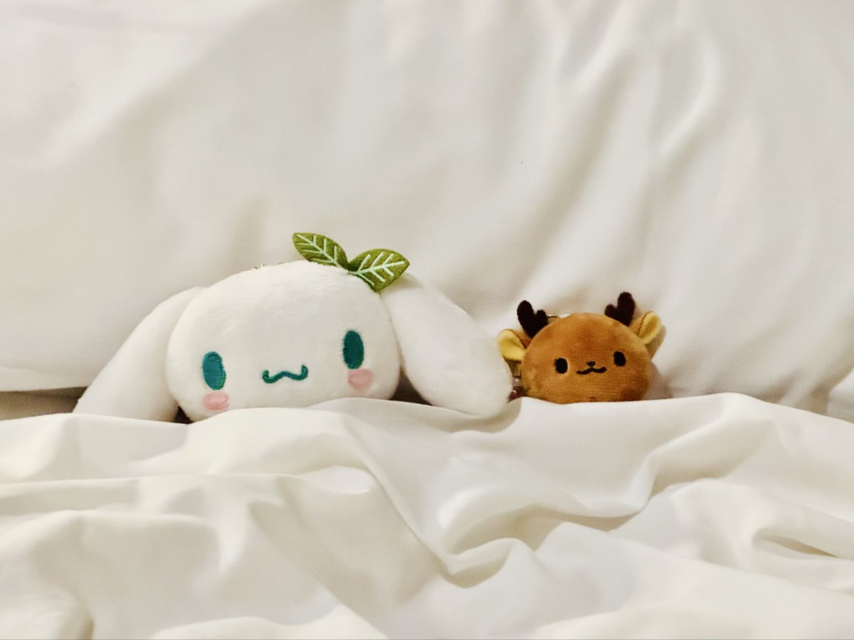 残り2セットになりました　ぬいぐるみ 6体セット ぬいぐるみ仲間増えてきた