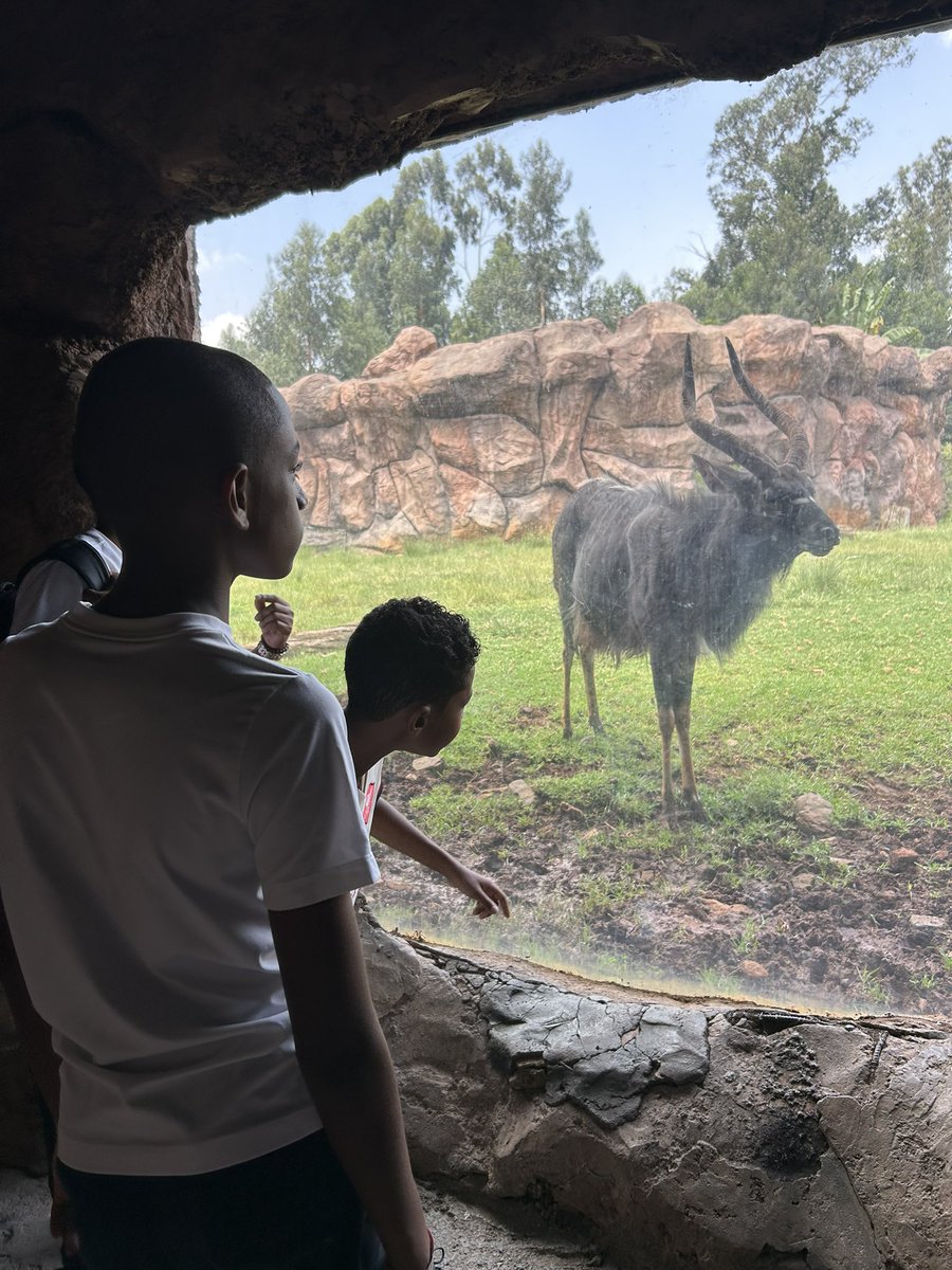 Teddy Kassa 🇪🇹 🇺🇸 tweet media