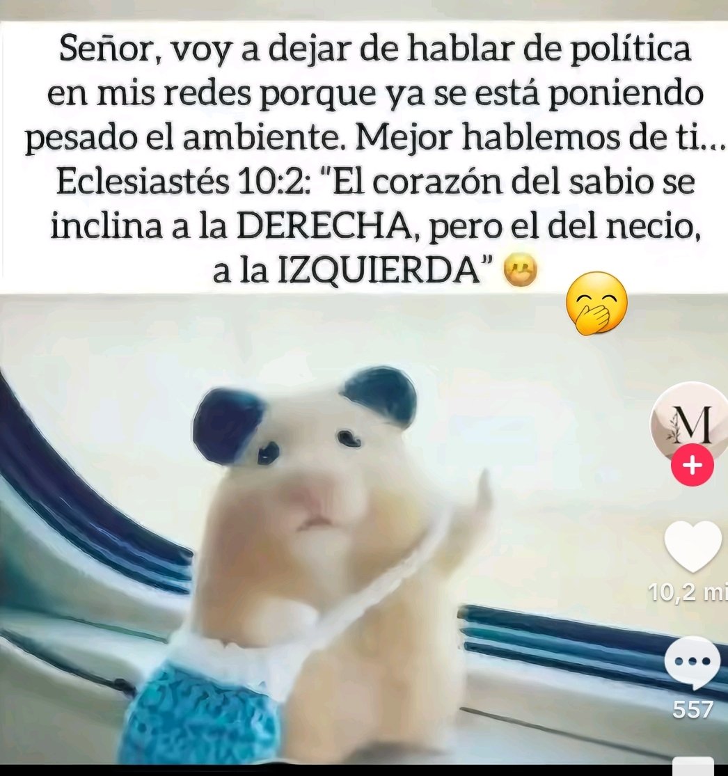 Carmen tweet media