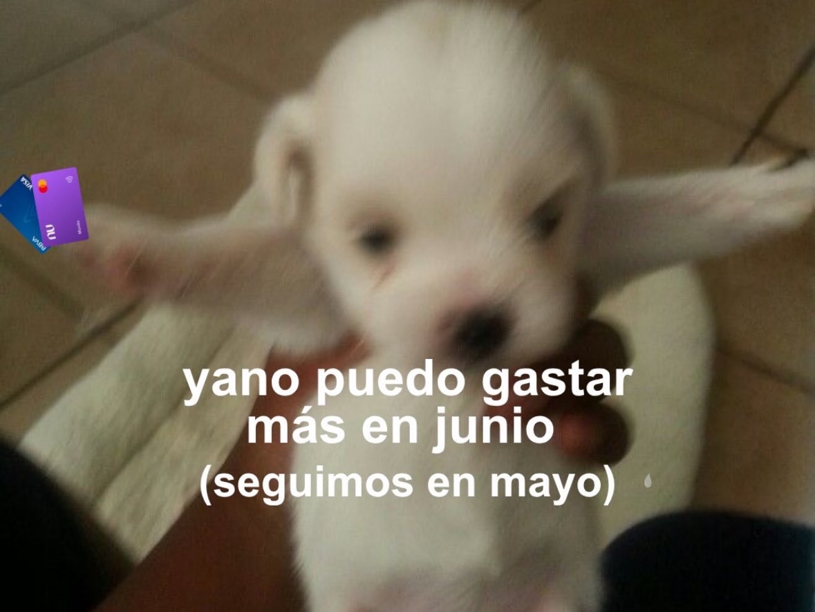 juli tweet media