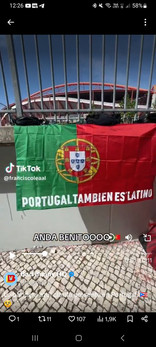 Mari 🇧🇷 tweet media