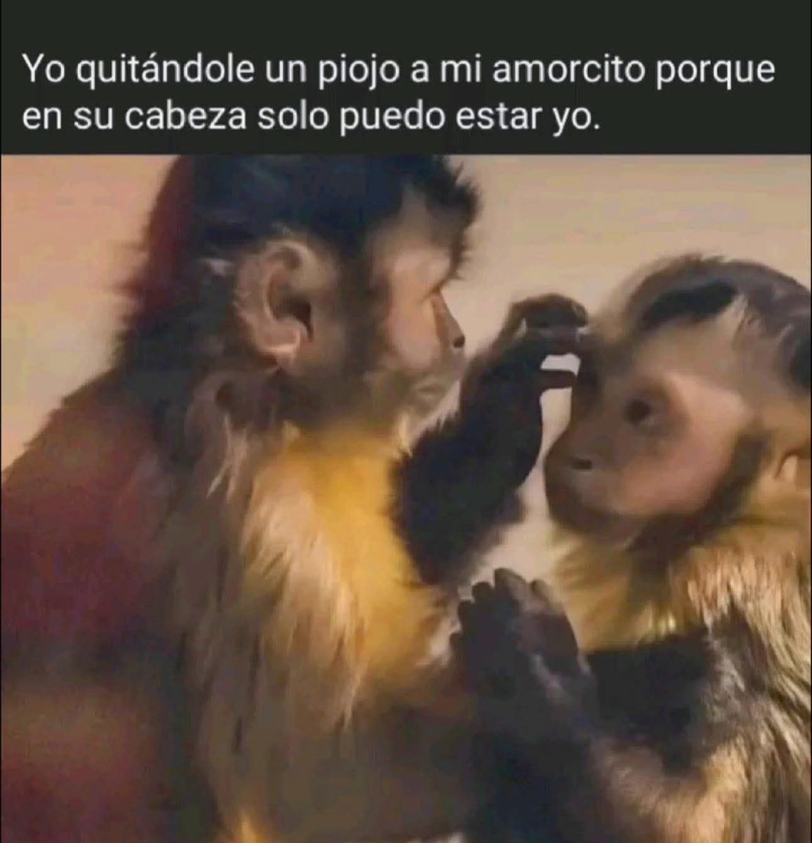JustVíC tweet media